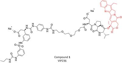 Neutrophil elastase as a versatile cleavage enzyme for activation of αvβ3 integrin-targeted small molecule drug conjugates with different payload classes in the tumor microenvironment